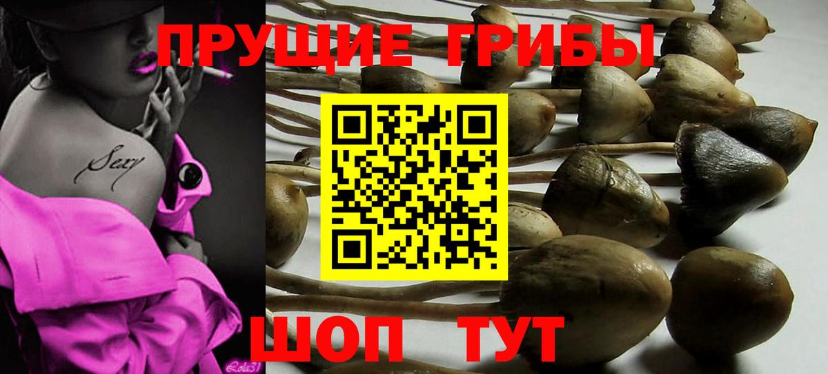Электросталь  Псилоцибиновые грибы ЛСД  Вход с VPN 
